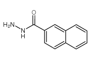 2-萘肼 结构式