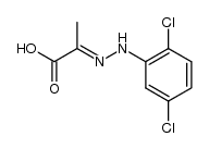 2-[2-(2,5-二氯苯基)亚肼基]丙酸 结构式