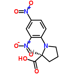 N-2,4-二硝基苯-L-脯氨酸 结构式