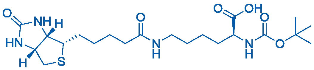 N2-(叔丁氧羰基)-N6-(5-((3aS,4S,6aR)-2-氧代六氢-1H-噻吩并[3,4-d]咪唑-4-基)戊酰基)-L-赖氨酸 结构式