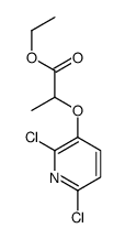 Propanoic acid, 2-[(2,6-dichloro-3-pyridinyl)oxy]-, ethyl ester 结构式