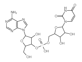 uridylyl(5'->3')adenosine 结构式