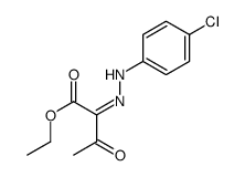 Butanoic acid, 2-[2-(4-chlorophenyl)hydrazinylidene]-3-oxo-, ethyl ester 结构式