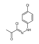 Propanehydrazonoyl chloride, N-(4-chlorophenyl)-2-oxo- 结构式