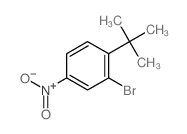 1-(叔丁基)-2-溴-4-硝基苯 结构式