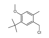 1-(氯甲基)-5-叔丁基-4-甲氧基-2-甲基苯 结构式