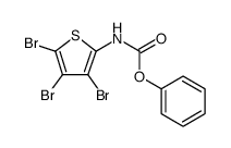 Carbamic acid, (3,4,5-tribromo-2-thienyl)-, phenyl ester (9CI) 结构式