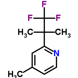 4-甲基-2-(1,1,1-三氟-2-甲基丙烷-2-基)吡啶 结构式