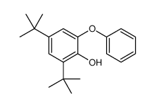 2,4-二叔丁基-6-苯氧基苯酚 结构式
