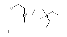 (2-Chloroethyl)dimethyl(3-(triethylsilyl)propyl)ammonium iodide 结构式