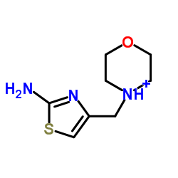 4-(吗啉-4-甲基)-1,3-噻唑-2-胺 结构式