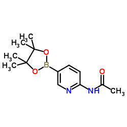 2-乙酰氨基吡啶-5-硼酸频哪醇酯 结构式