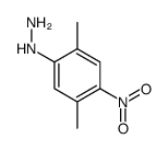 Hydrazine, (2,5-dimethyl-4-nitrophenyl)- (9CI) 结构式