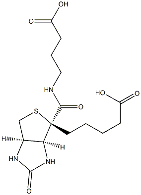 生物素酰基-4-氨基丁酸 结构式