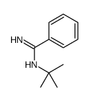 N-叔丁基苯甲脒 结构式