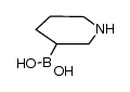 哌啶-3-基硼酸 结构式