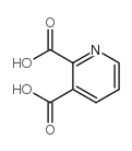 2,3-吡啶二甲酸 结构式