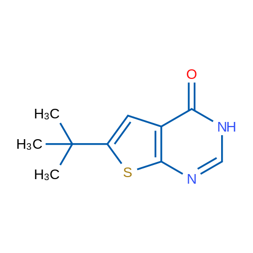 6-叔丁基-3H-噻吩[2,3-d]嘧啶-4-酮 结构式