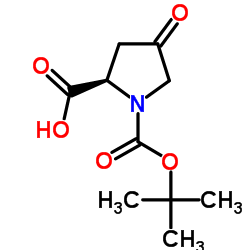 (R)-1-(叔丁氧基羰基)-4-氧代吡咯烷-2-羧酸 结构式