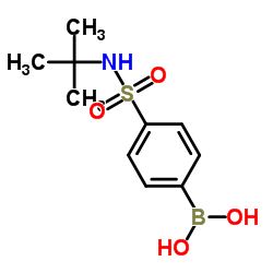 4-硼苯磺酰胺叔丁酯 结构式