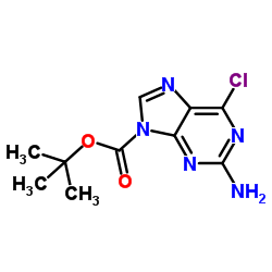 2-氨基-6-氯-9H-嘌呤-9-羧酸叔丁酯 结构式