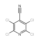 2,3,5,6-四氯异烟腈 结构式