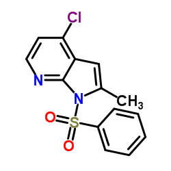 4-氯-2-甲基-1-(苯基磺酰基)-1H-吡咯并[2,3-b]吡啶 结构式