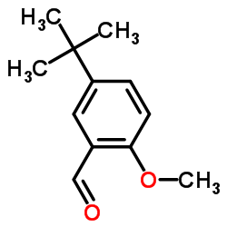 5-叔丁基-2-甲氧基苯甲醛 结构式