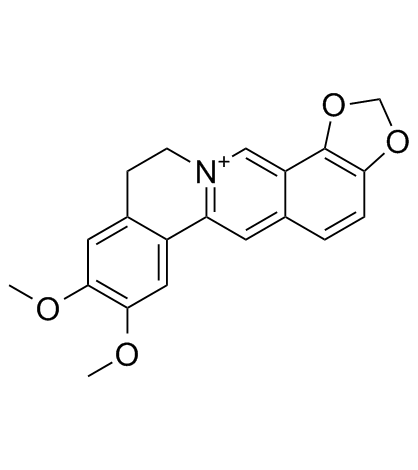 表小檗碱 结构式
