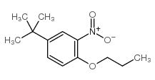 对叔丁基邻硝基苯丙醚 结构式