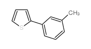 2-(3-甲基苯基)噻吩 结构式