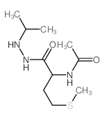 N-[4-methylsulfanyl-1-oxo-1-(2-propan-2-ylhydrazinyl)butan-2-yl]acetamide 结构式