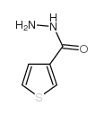 3-噻吩羧酸肼 结构式
