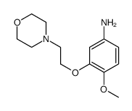 4-甲氧基-3-(2-吗啉乙氧基)苯胺 结构式