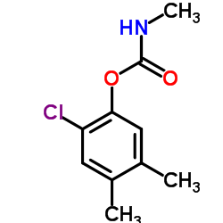 2-氯-4,5-二甲基苯基-N-甲基氨基甲酸酯 结构式