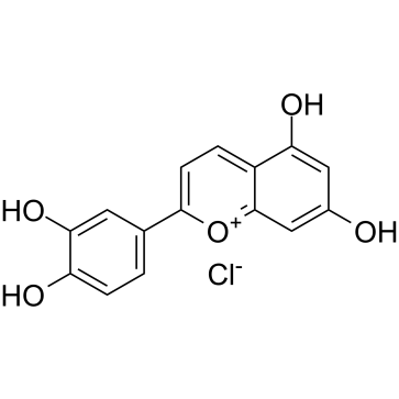 2-(3,4-二羟基苯基)-5,7-二羟基苯并吡喃鎓氯化物 结构式