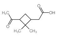 蒎酮酸 结构式