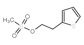 2-(2-thienyl)ethyl methanesulphonate 结构式