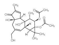 12,13-二乙酸佛波醇 结构式