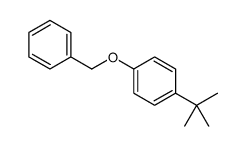 1-叔丁基-4-苄氧基苯 结构式