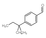 对叔戊基苯甲醛 结构式