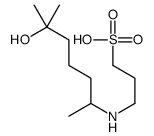 1-Propanesulfonic acid, 3-[(5-hydroxy-1,5-dimethylhexyl)amino]- 结构式