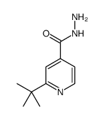 2-叔丁基吡啶-4-甲酰肼 结构式