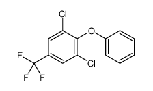 1,3-二氯-2-苯氧基-5-(三氟甲基)苯 结构式