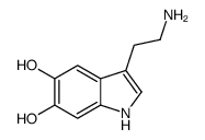 3-(2-氨基乙基)-1H-吲哚-5,6-二醇 结构式