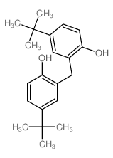2,2’-亚甲基双(4-(1,1-二甲基乙基)苯酚 结构式