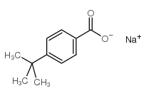 对叔丁基苯甲酸钠 结构式