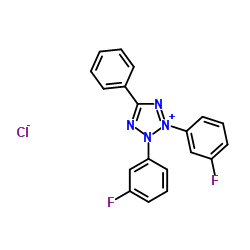 2,3-双-(3-氟苯基)-5-苯基氯化四氮唑 结构式