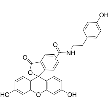 荧光素酪酰胺 结构式