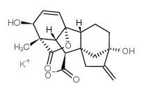 赤霉酸钾盐 结构式